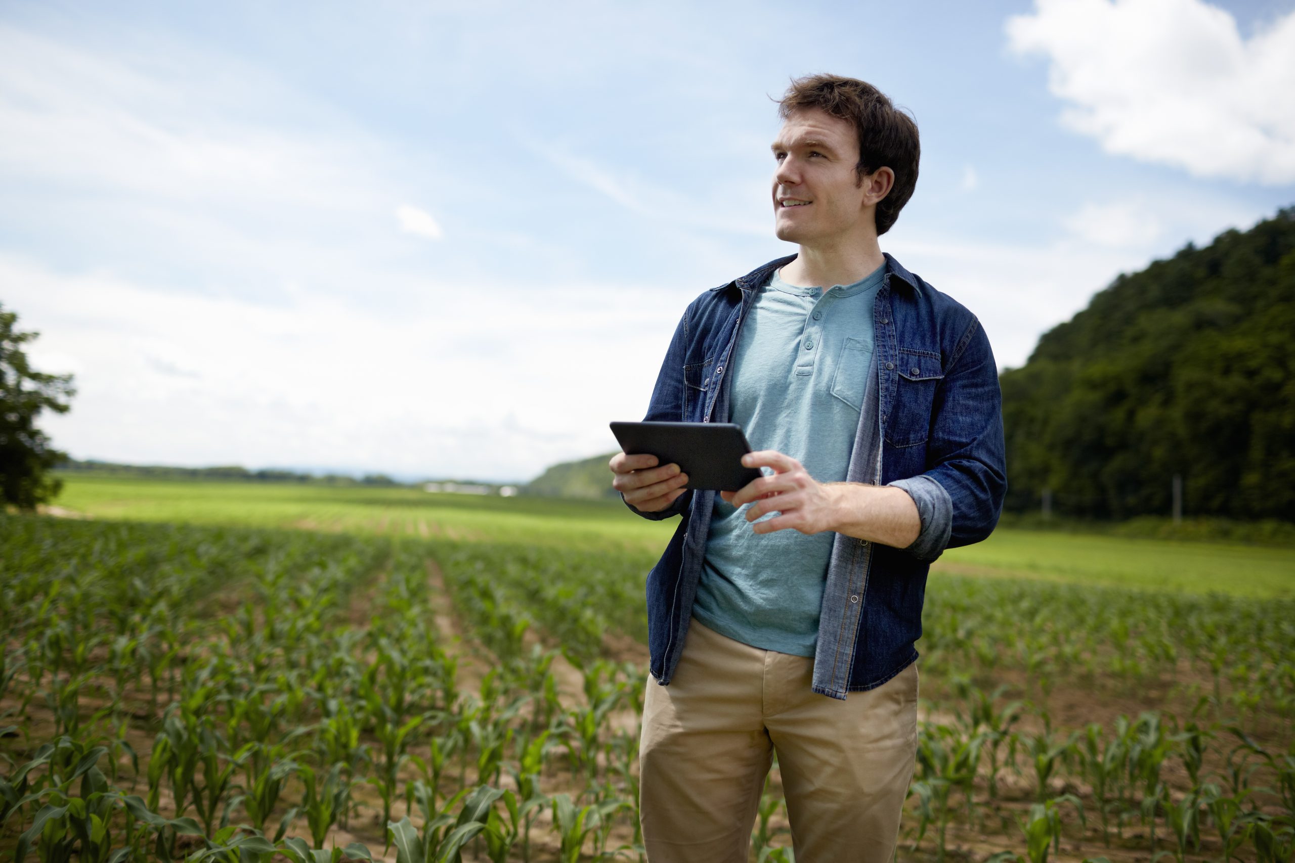 Transformación digital en el sector energético