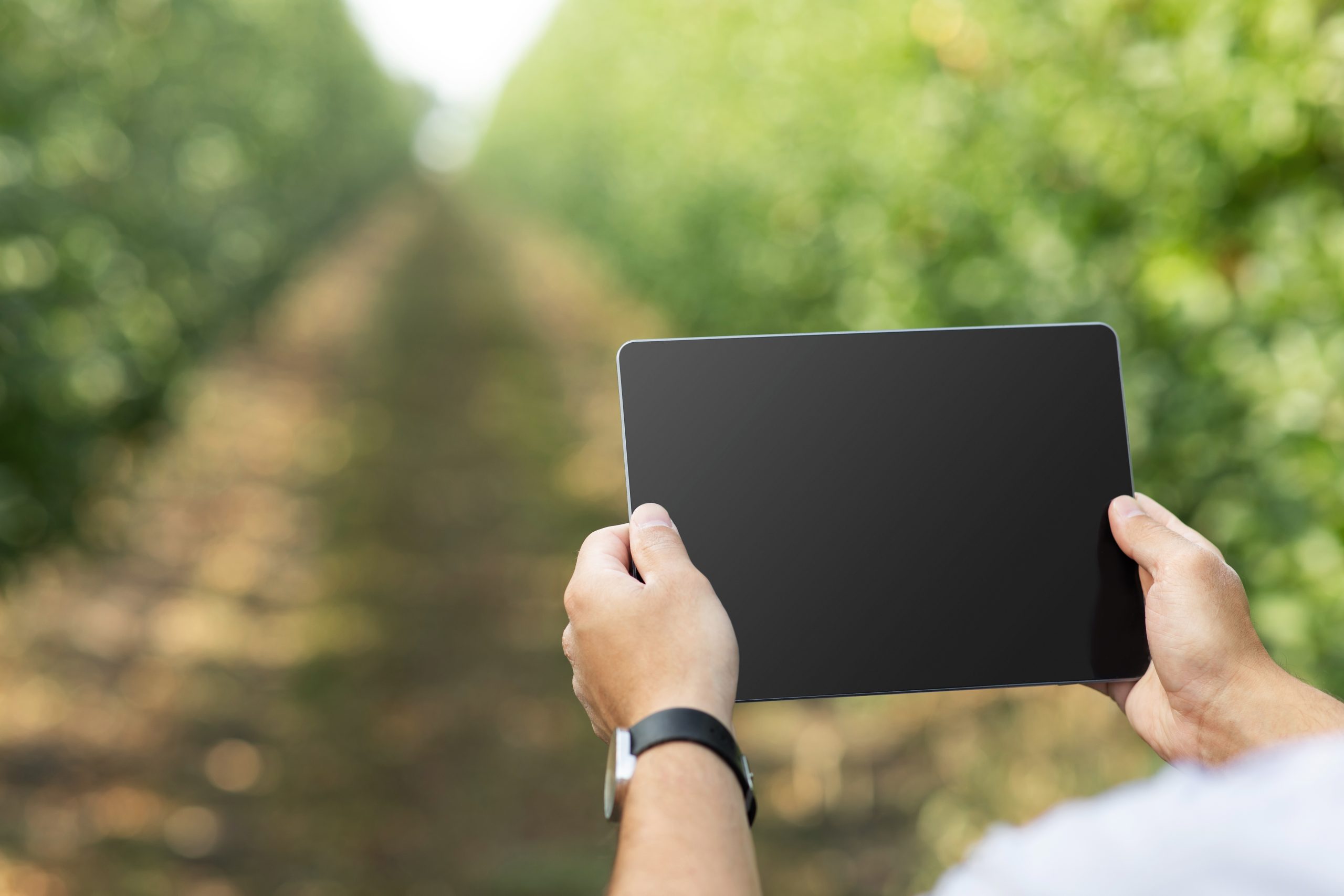 Transformación digital en el sector energético