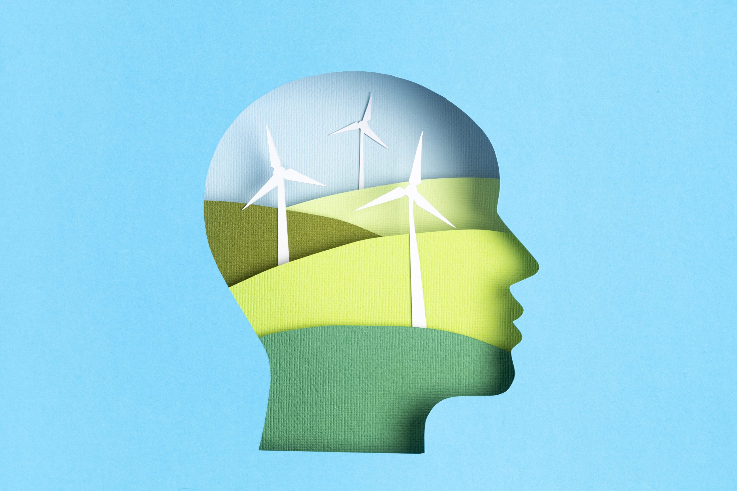 Procesos de internacionalización y energías renovables.