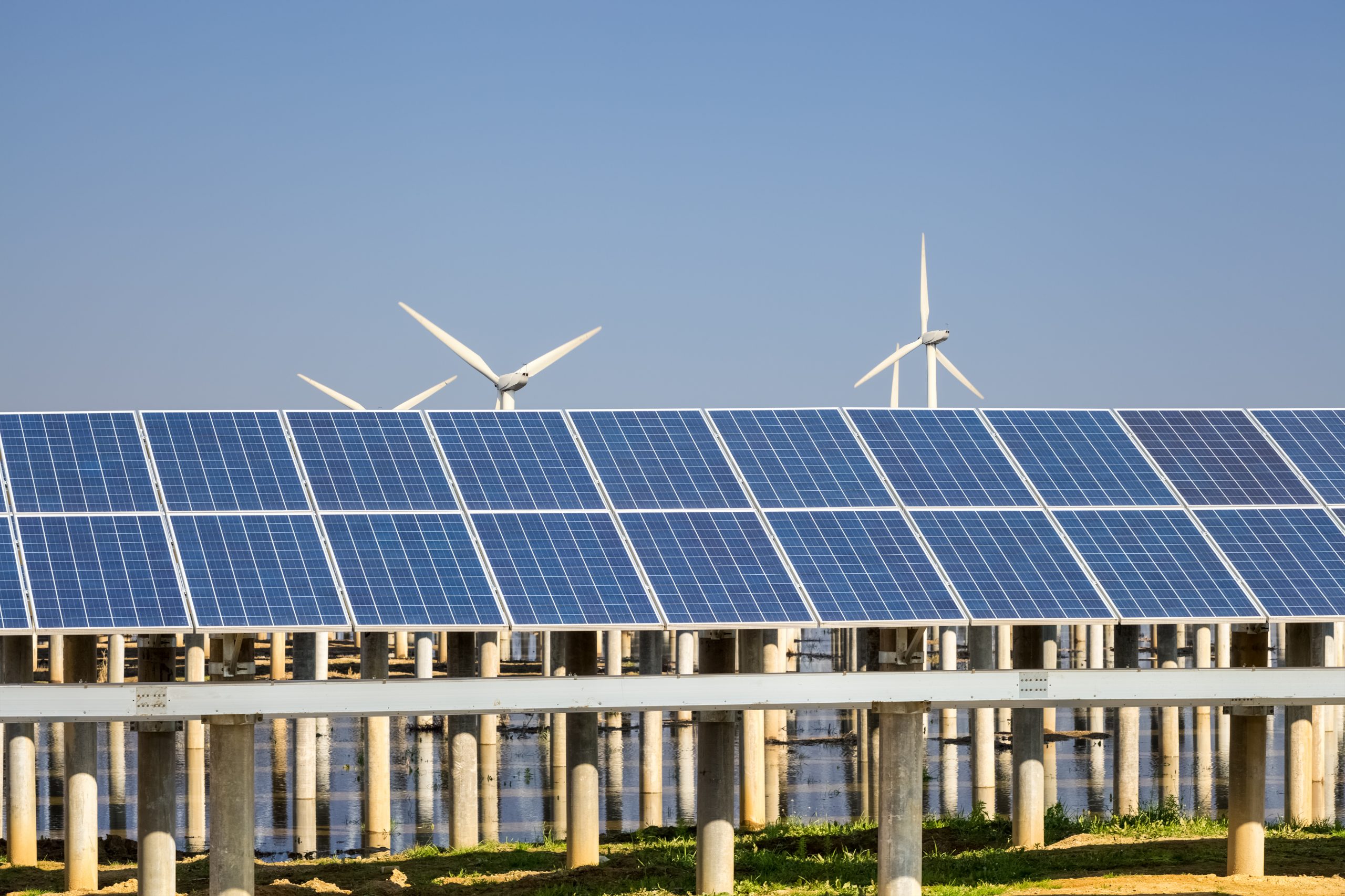 Procesos de internacionalización y energías renovables.
