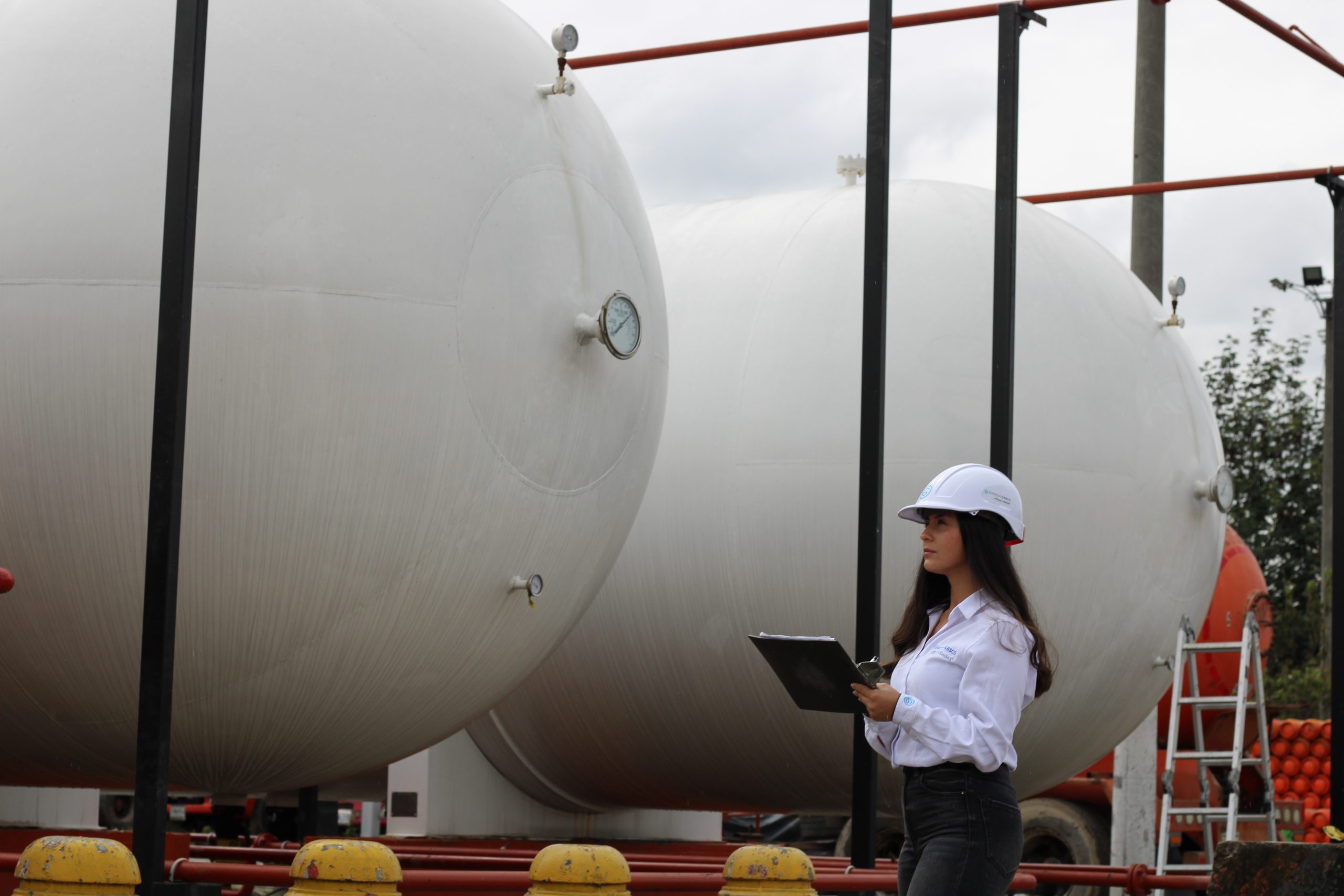 Gas licuado de petr&oacute;leo energ&iacute;as renovables