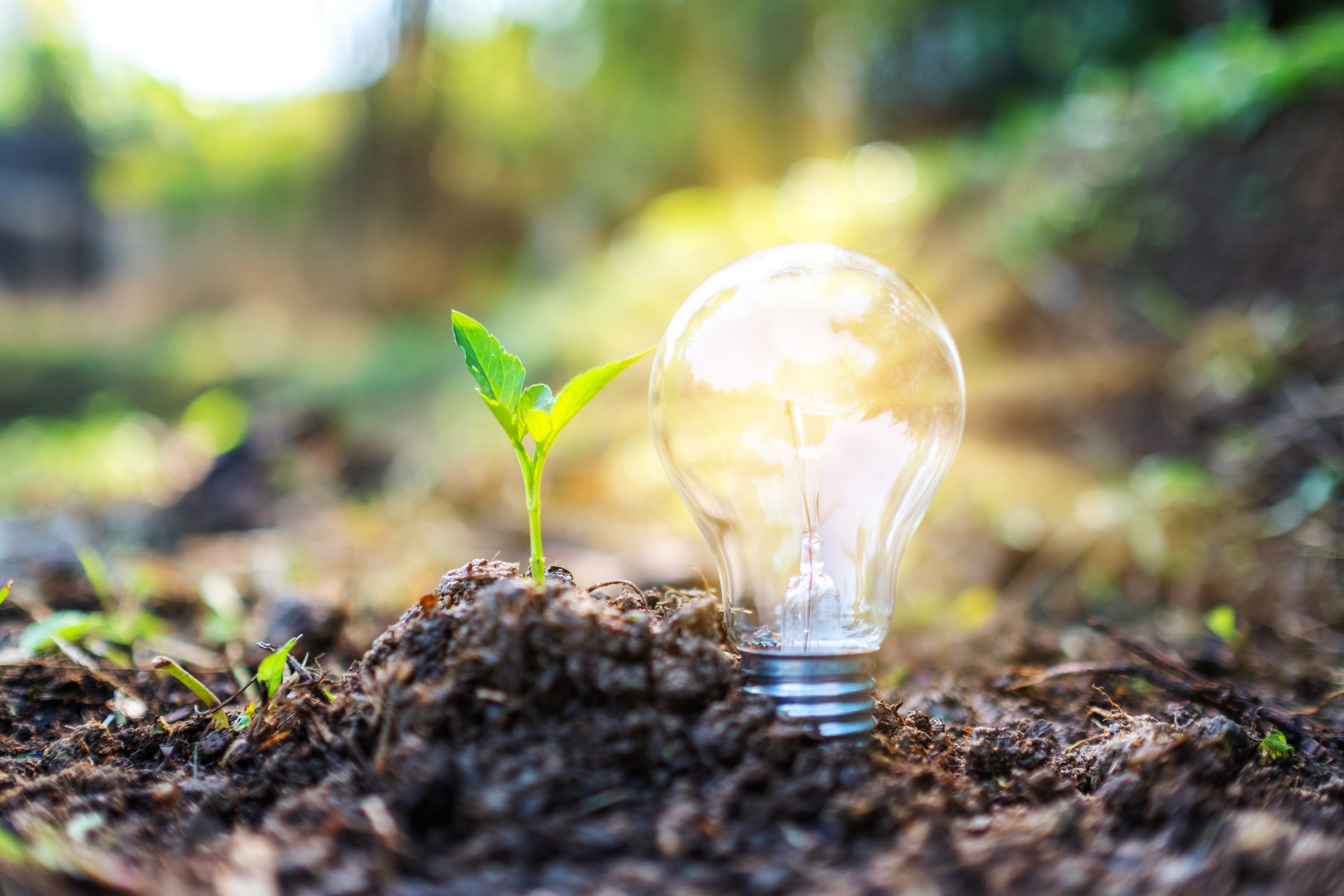 Gas licuado de petr&oacute;leo energ&iacute;as renovables