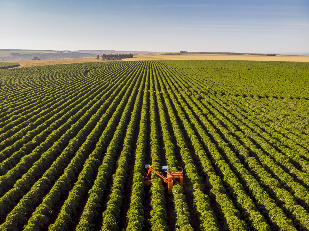 agricultura gas licuado