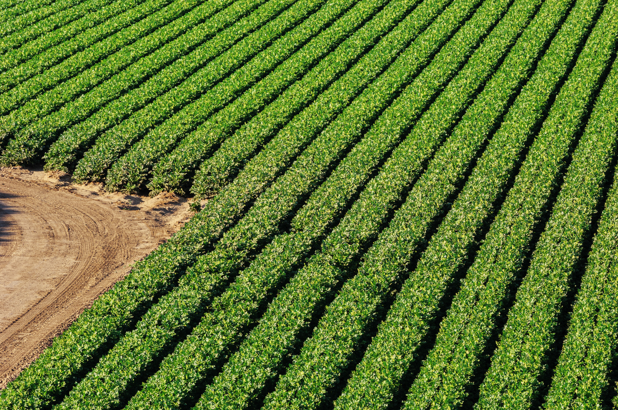 agricultura gas licuado