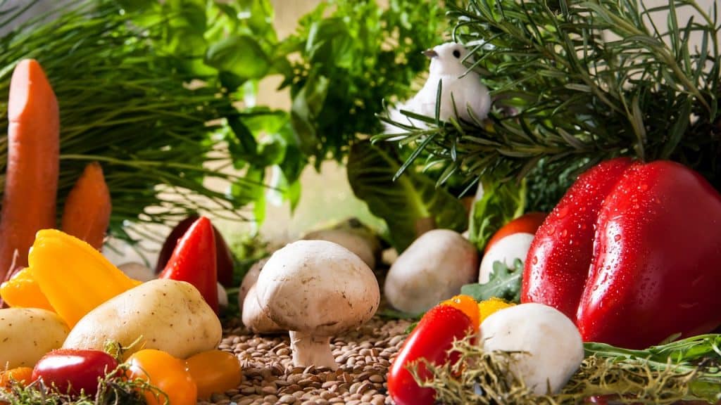Producci&oacute;n de alimentos